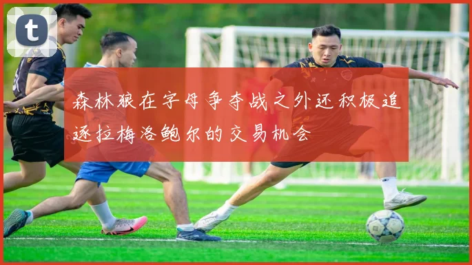 森林狼在字母争夺战之外还积极追逐拉梅洛鲍尔的交易机会